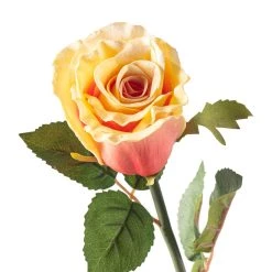 Cheapest 🌟 12 Pack: Coral Faux Rose by Ashland® 👍 -Ashland Sales MP501469 20