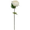 Best reviews of ✔️ 12 Pack: White King Peony Stem by Ashland® 🔥 1 Best reviews of ✔️ 12 Pack: White King Peony Stem by Ashland® 🔥 -Ashland Sales MP501479 1