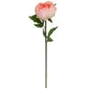 Wholesale 🎉 12 Pack: Pink King Peony Stem by Ashland® ✔️ -Ashland Sales MP501481 1