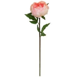 Wholesale 🎉 12 Pack: Pink King Peony Stem by Ashland® ✔️