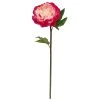 Best reviews of 🧨 12 Pack: Fuchsia King Peony Stem by Ashland® 🧨 -Ashland Sales MP501483 1