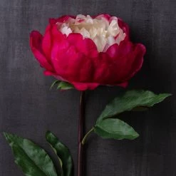 Best reviews of 🧨 12 Pack: Fuchsia King Peony Stem by Ashland® 🧨 -Ashland Sales MP501483 22