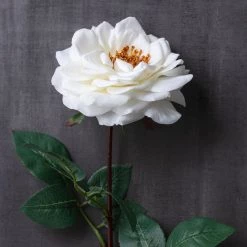 Cheapest 🎁 12 Pack: White Orlane Rose Stem by Ashland® 🎉 -Ashland Sales MP501485 22