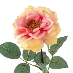 Flash Sale π 12 Pack: Coral Orlane Rose Stem by Ashland® β€οΈ 8 Flash Sale π 12 Pack: Coral Orlane Rose Stem by Ashland® β€οΈ -Ashland Sales MP501486 20