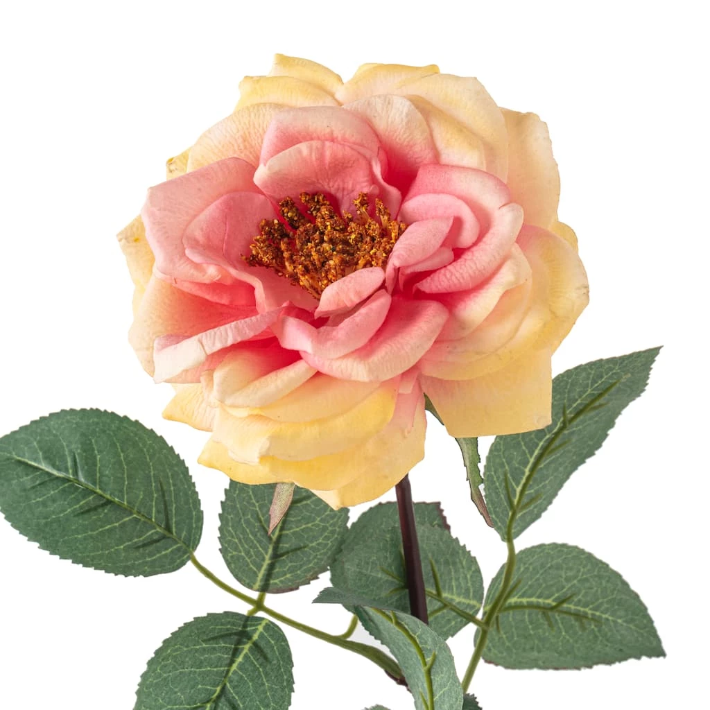 Flash Sale π 12 Pack: Coral Orlane Rose Stem by Ashland® β€οΈ 5 Flash Sale π 12 Pack: Coral Orlane Rose Stem by Ashland® β€οΈ - Image 3