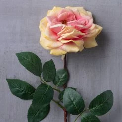 Flash Sale π 12 Pack: Coral Orlane Rose Stem by Ashland® β€οΈ 7 Flash Sale π 12 Pack: Coral Orlane Rose Stem by Ashland® β€οΈ -Ashland Sales MP501486 22