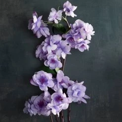 Best reviews of π 12 Pack: Lavender Apple Blossom Spray by Ashland® π 5 Best reviews of π 12 Pack: Lavender Apple Blossom Spray by Ashland® π -Ashland Sales MP501499 20