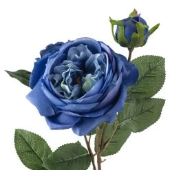 Budget 🧨 12 Pack: Blue English Rose Stem by Ashland® 🌟 -Ashland Sales MP501503 20