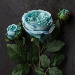 Coupon 👏 12 Pack: Teal English Rose Stem by Ashland® 😉 -Ashland Sales MP501506 22