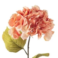 Outlet ⌛ 12 Pack: Coral Two-Toned Hydrangea Steam by Ashland® 🤩 -Ashland Sales MP501508 20