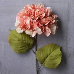 Outlet ⌛ 12 Pack: Coral Two-Toned Hydrangea Steam by Ashland® 🤩 -Ashland Sales MP501508 22