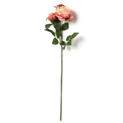 Best Sale ❤️ 12 Pack: Pink Coral English Rose Stem by Ashland® 🎁 -Ashland Sales MP501509 21