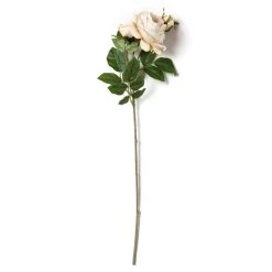 Outlet 🧨 12 Pack: Toast English Rose Stem by Ashland® 😀 -Ashland Sales MP501510 21