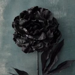 New ⌛ 12 Pack: Black Peony Stem by Ashland® 🥰 -Ashland Sales MP501945 20