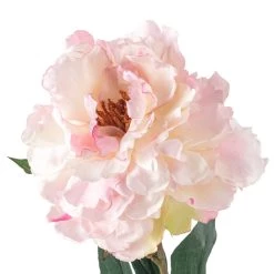 Promo 😉 12 Pack: Light Pink Peony Stem by Ashland® 🔔 -Ashland Sales MP501951 20