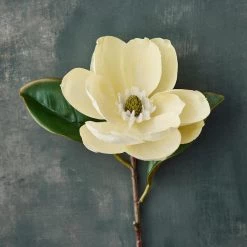 Brand new 🌟 12 Pack: White Magnolia Stem by Ashland® 😀 -Ashland Sales MP501956 20