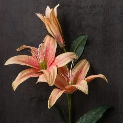 Best reviews of 🔥 12 Pack: Flame Casablanca Lily Stem by Ashland® 🌟 -Ashland Sales MP501957 22