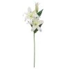 Best Pirce 🎁 12 Pack: White Casablanca Lily Stem by Ashland® 😀 -Ashland Sales MP501958 1