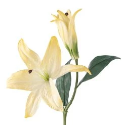 Best Pirce 🎁 12 Pack: White Casablanca Lily Stem by Ashland® 😀 -Ashland Sales MP501958 20