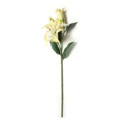Best Pirce 🎁 12 Pack: White Casablanca Lily Stem by Ashland® 😀 -Ashland Sales MP501958 21