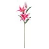 Budget 🧨 12 Pack: Hot Pink Casablanca Lily Stem by Ashland® 👏 -Ashland Sales MP501960 1