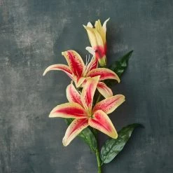 Budget 🧨 12 Pack: Hot Pink Casablanca Lily Stem by Ashland® 👏 -Ashland Sales MP501960 20