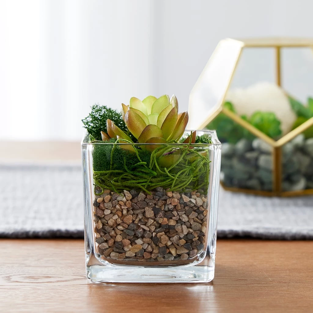 Top 10 π 16 Pack: Natural Baby Rocks by Ashland® β 4 Top 10 π 16 Pack: Natural Baby Rocks by Ashland® β - Image 2