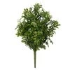 Buy 🔔 9 Pack: Boxwood & Berry Bush by Ashland® ⭐ -Ashland Sales MP546917 1