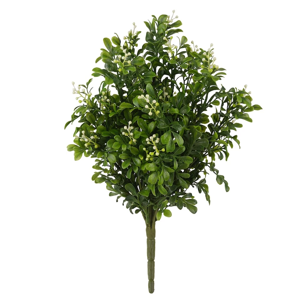 Buy 🔔 9 Pack: Boxwood & Berry Bush by Ashland® ⭐ 3 Buy 🔔 9 Pack: Boxwood & Berry Bush by Ashland® ⭐