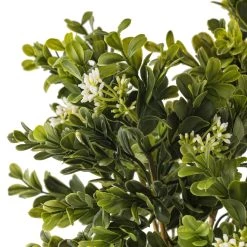 Buy 🔔 9 Pack: Boxwood & Berry Bush by Ashland® ⭐ 9 Buy 🔔 9 Pack: Boxwood & Berry Bush by Ashland® ⭐ -Ashland Sales MP546917 20