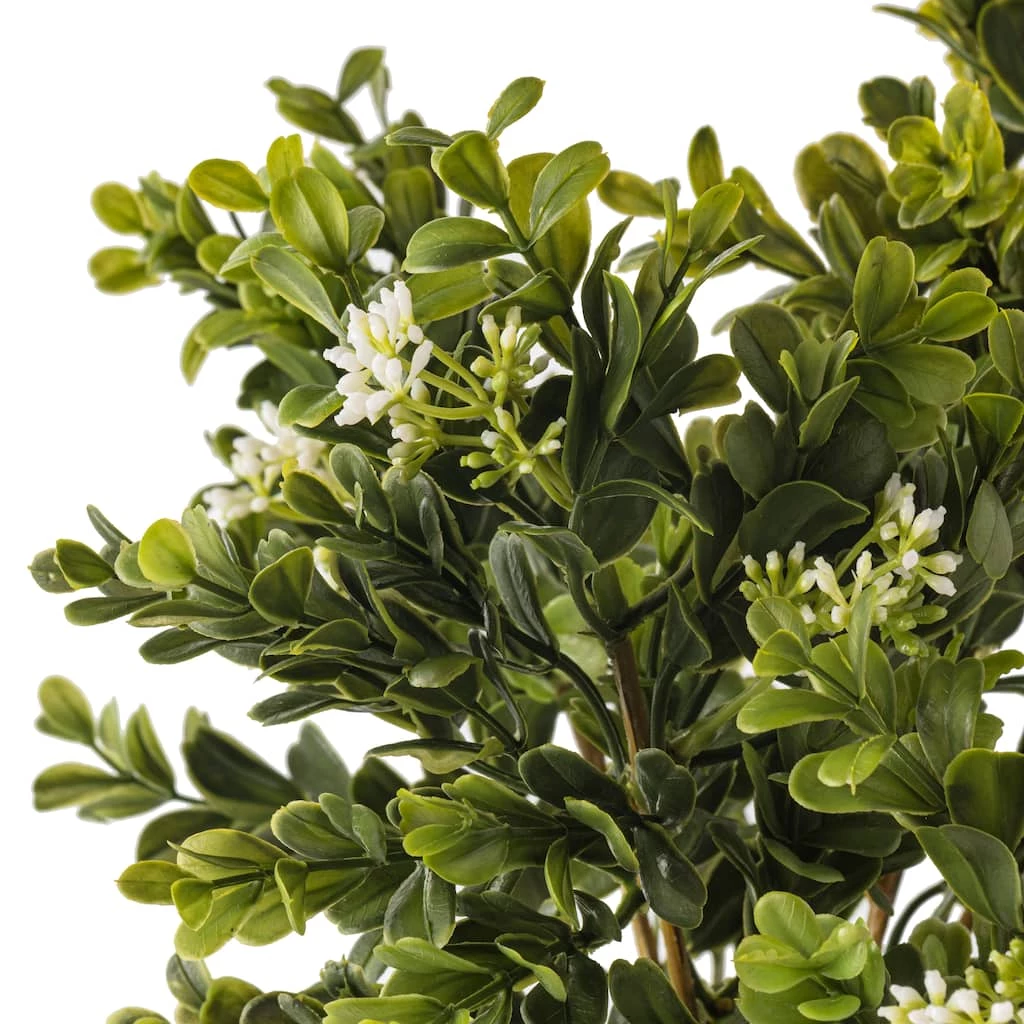 Buy 🔔 9 Pack: Boxwood & Berry Bush by Ashland® ⭐ 5 Buy 🔔 9 Pack: Boxwood & Berry Bush by Ashland® ⭐ - Image 3