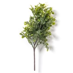 Coupon 🥰 24 Pack: Green Boxwood Pick by Ashland® 🎁 -Ashland Sales MP546920 21