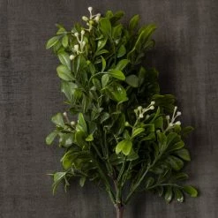 Coupon 🥰 24 Pack: Green Boxwood Pick by Ashland® 🎁 -Ashland Sales MP546920 25