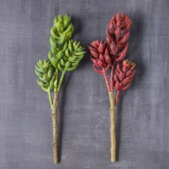 Flash Sale 🤩 24 Pack: Assorted 3 Head Succulent Pick by Ashland® 🧨 -Ashland Sales MP546921 22