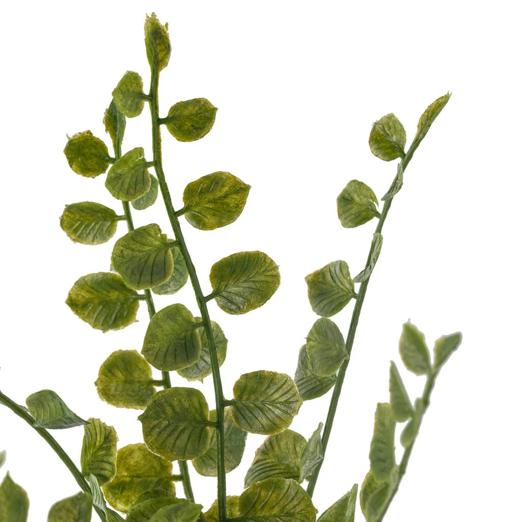 Cheap ✔️ 18 Pack: Assorted Fern Pick by Ashland® 😀 6 Cheap ✔️ 18 Pack: Assorted Fern Pick by Ashland® 😀 - Image 4