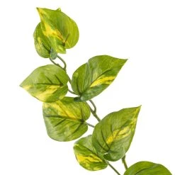 Deals 👍 12 Pack: Hanging Philo Bush by Ashland® ⭐ -Ashland Sales MP547222 20