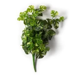 Best deal ❤️ 12 Pack: Split Hanging Philo Bush by Ashland® 🎉 -Ashland Sales MP547223 21