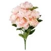 Deals 𧨠12 Pack: Coral Peony Bush by Ashland® π 1 Deals 𧨠12 Pack: Coral Peony Bush by Ashland® π -Ashland Sales MP547347 1