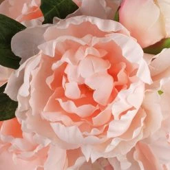 Deals 🧨 12 Pack: Coral Peony Bush by Ashland® 🌟 -Ashland Sales MP547347 2