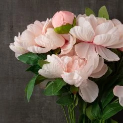 Deals 🧨 12 Pack: Coral Peony Bush by Ashland® 🌟 -Ashland Sales MP547347 25