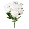New 🎉 12 Pack: White Peony Bush by Ashland® 🔥 -Ashland Sales MP547350 1