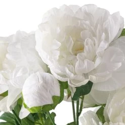 New 🎉 12 Pack: White Peony Bush by Ashland® 🔥 -Ashland Sales MP547350 20