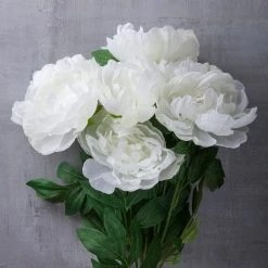 New 🎉 12 Pack: White Peony Bush by Ashland® 🔥 -Ashland Sales MP547350 22