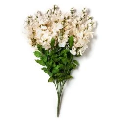 Wholesale 👏 12 Pack: Cream Wisteria Bush by Ashland® 🧨 -Ashland Sales MP547398 21