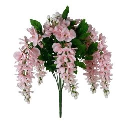 Top 10 💯 12 Pack: Pink Wisteria Bush by Ashland® 🧨