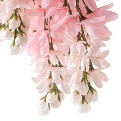 Top 10 💯 12 Pack: Pink Wisteria Bush by Ashland® 🧨 -Ashland Sales MP547399 20