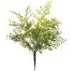 Buy 🧨 12 Pack: Forest Fern Bush by Ashland® 🌟 -Ashland Sales MP547457 1