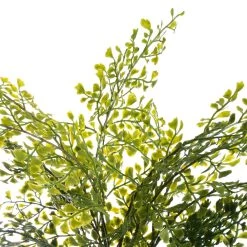 Buy 🧨 12 Pack: Forest Fern Bush by Ashland® 🌟 -Ashland Sales MP547457 2