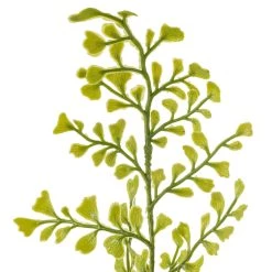Buy 🧨 12 Pack: Forest Fern Bush by Ashland® 🌟 -Ashland Sales MP547457 20