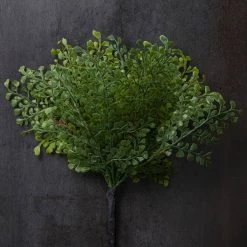 Buy 🧨 12 Pack: Forest Fern Bush by Ashland® 🌟 -Ashland Sales MP547457 22